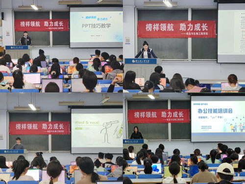 食品与生物工程学院成功举办办公技能与职业技能培训活动